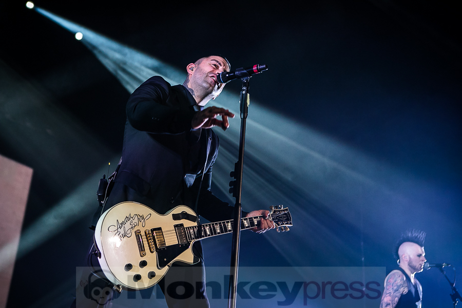 Broilers, © Michael Gamon