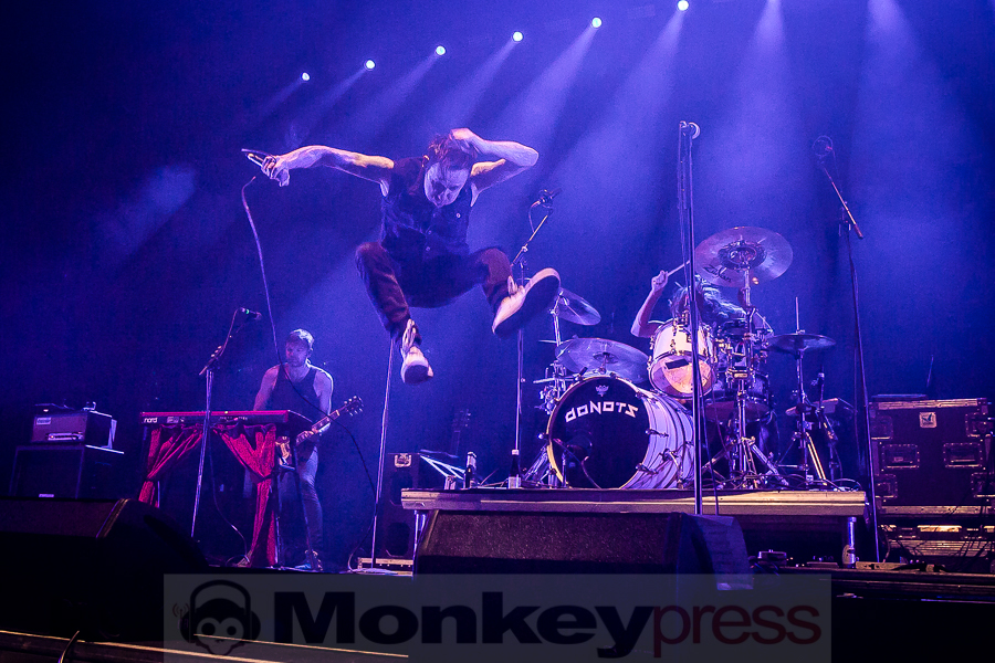 Donots, © Michael Gamon