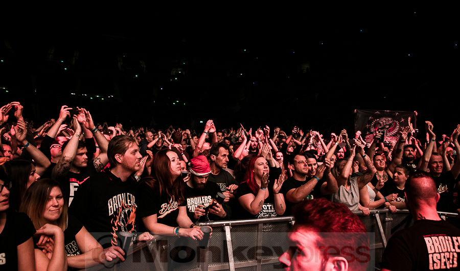 Donots, © Michael Gamon
