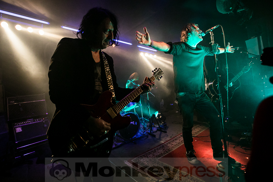 Dead Guitars, © Michael Gamon