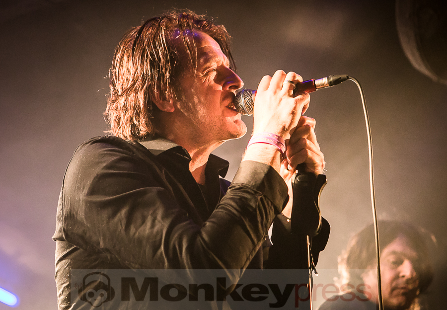 Dead Guitars, © Michael Gamon