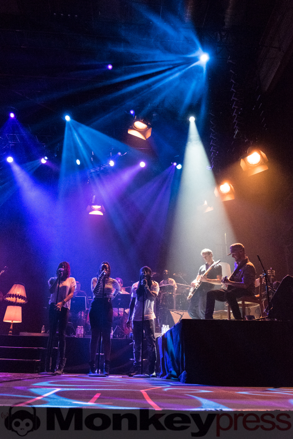 Gentleman, © Angela Trabert