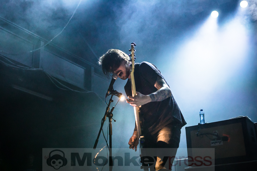 Fjort, © Michael Gamon