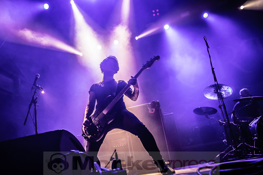 Fjort, © Michael Gamon