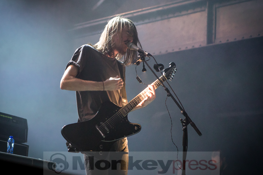 Fjort, © Michael Gamon