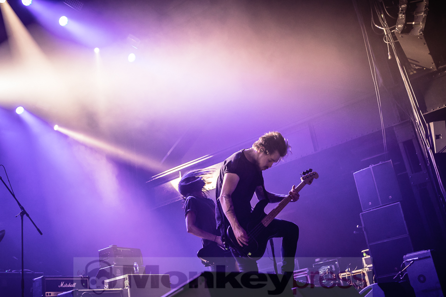 Fjort, © Michael Gamon