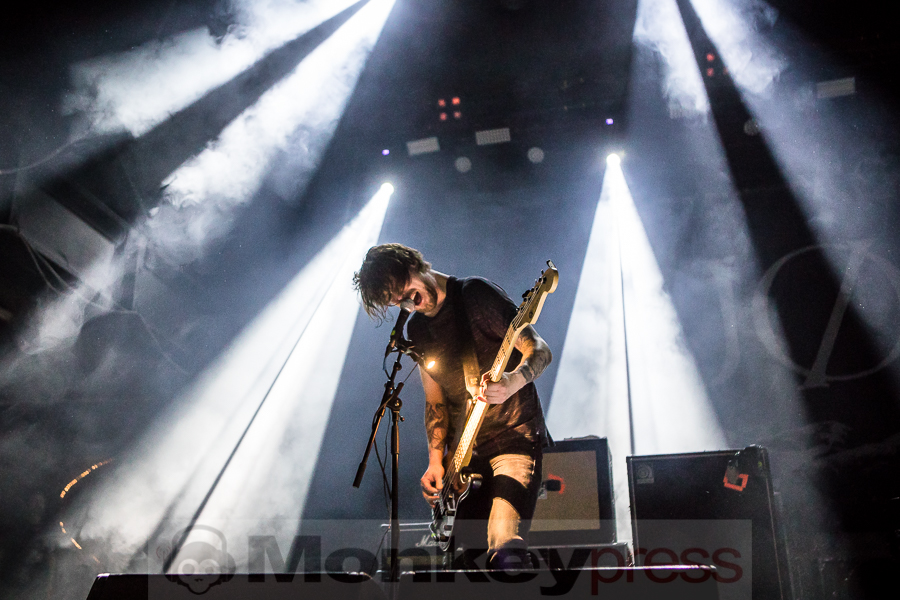 Fjort, © Michael Gamon