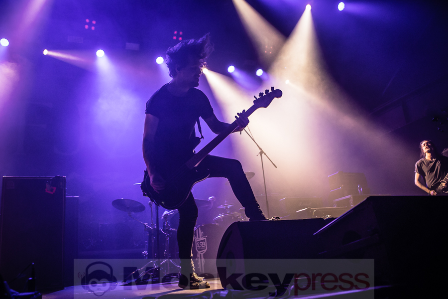 Fjort, © Michael Gamon