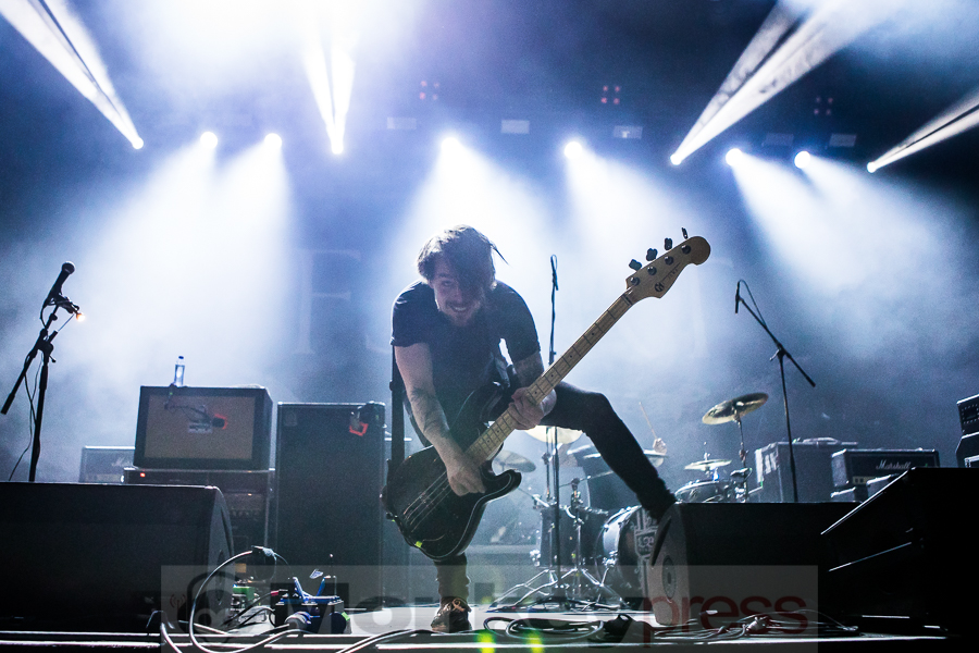 Fjort, © Michael Gamon