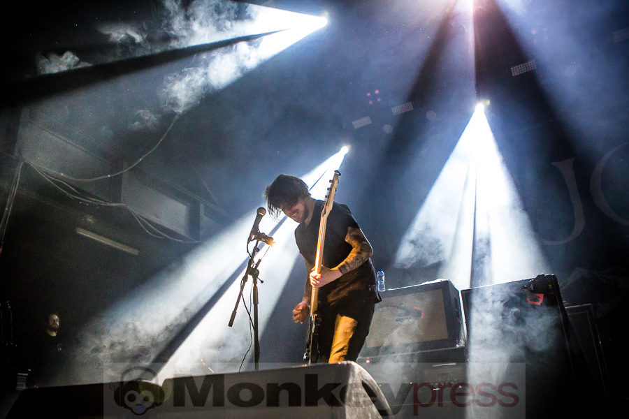 Fjort, © Michael Gamon