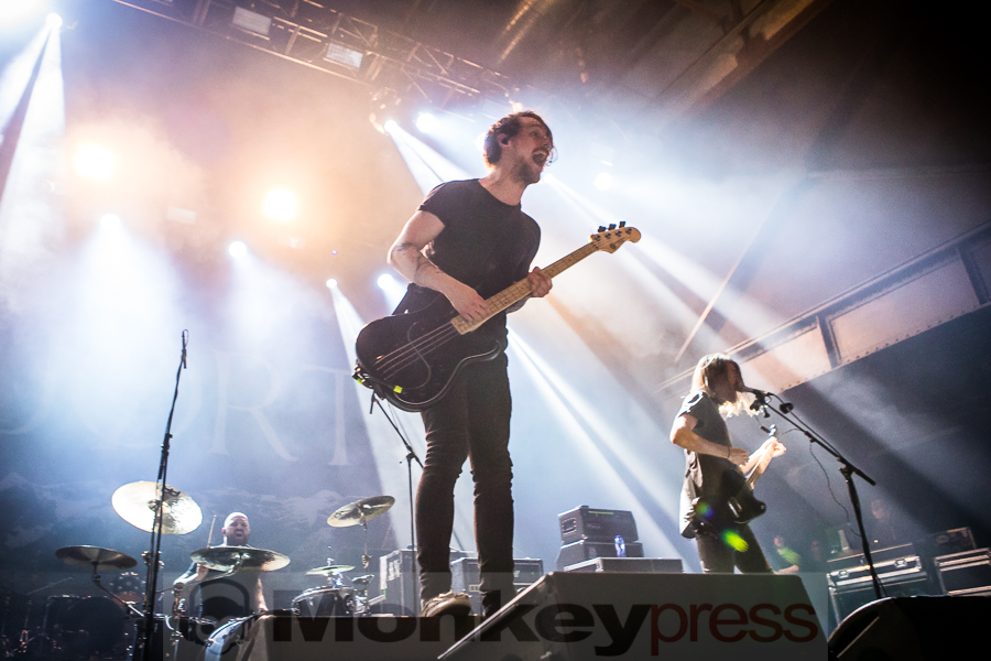 Fjort, © Michael Gamon