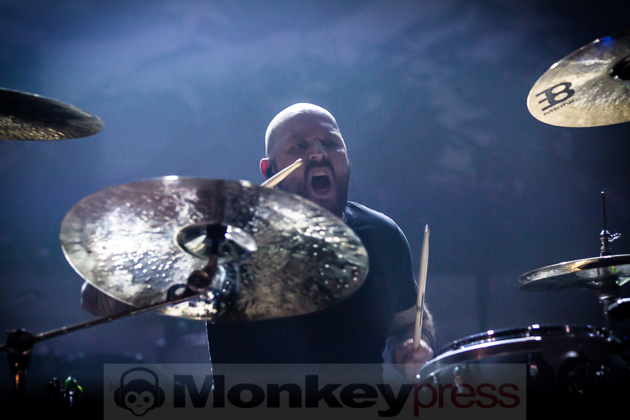 Fjort, © Michael Gamon