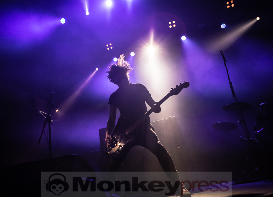 Fjort, © Michael Gamon