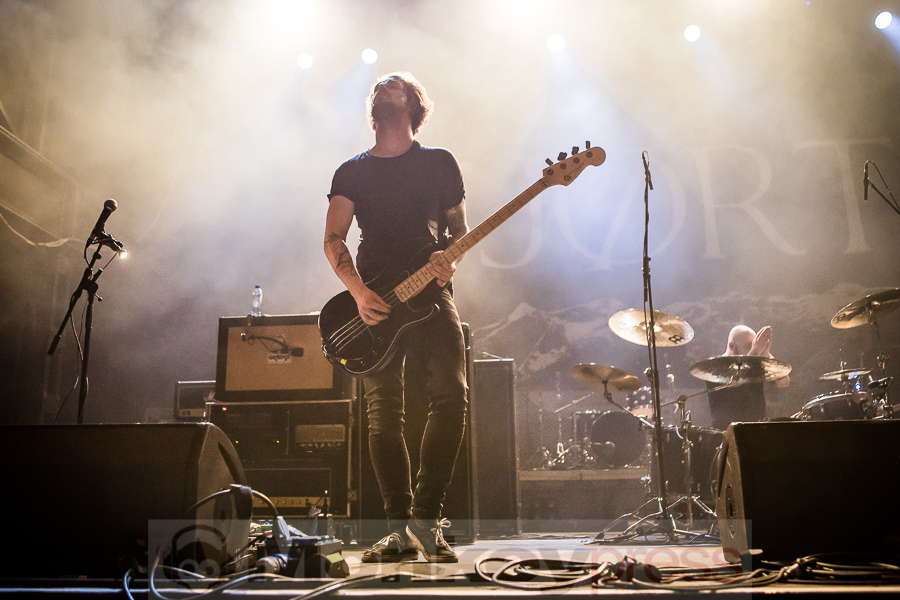 Fjort, © Michael Gamon