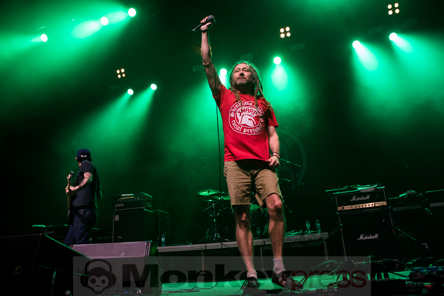 Great Collapse, © Michael Gamon