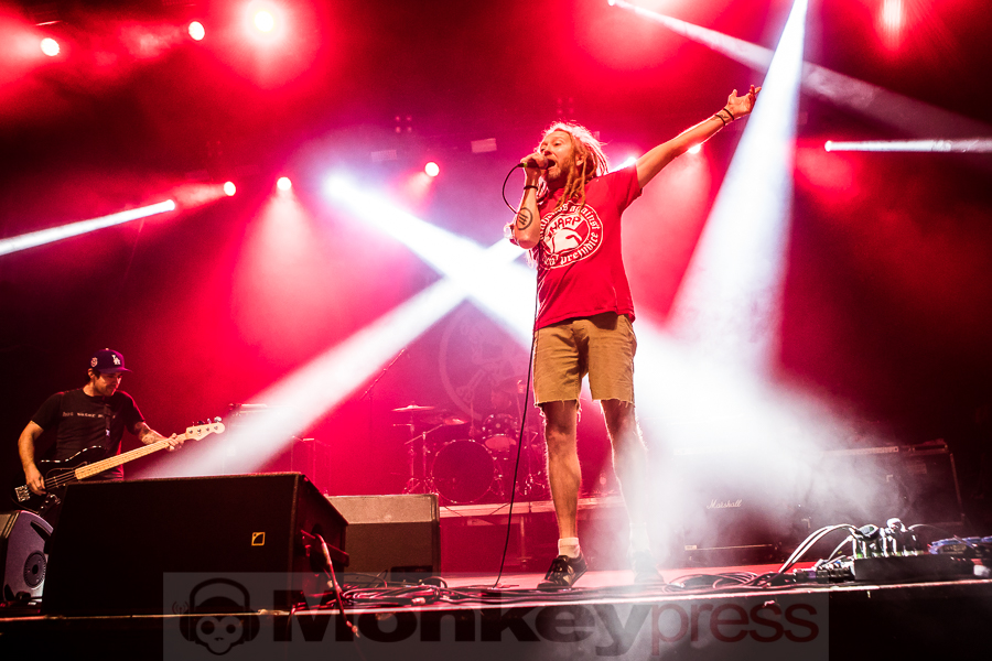 Great Collapse, © Michael Gamon