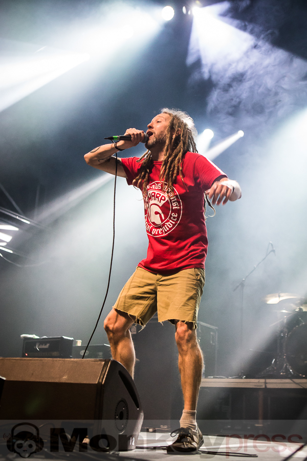 Great Collapse, © Michael Gamon