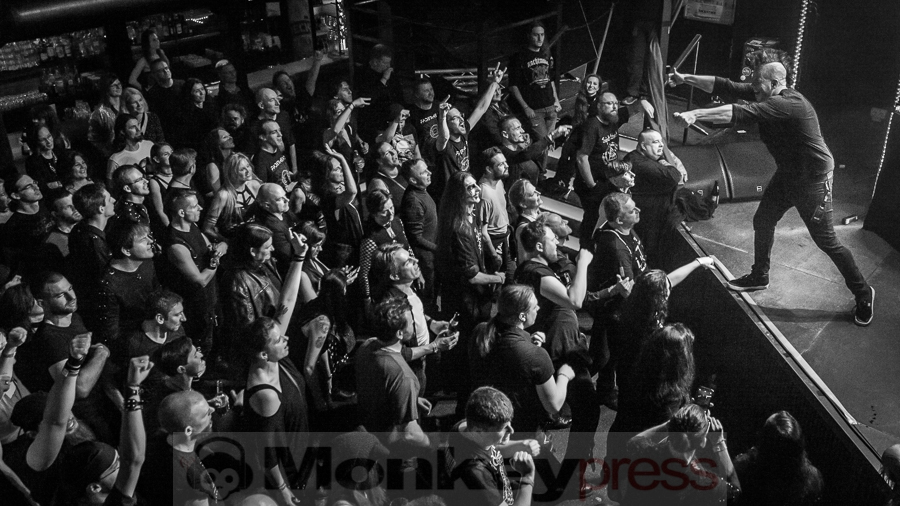 Faderhead, © Dietmar Grabs