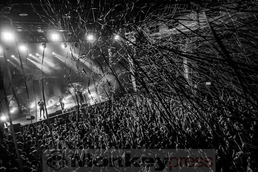 Antilopen Gang, © Markus Hillgärtner