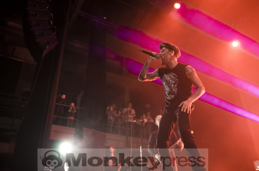 Donots © Jan Focken
