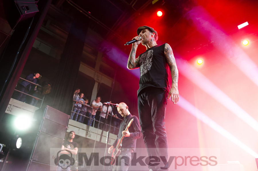 Donots © Jan Focken