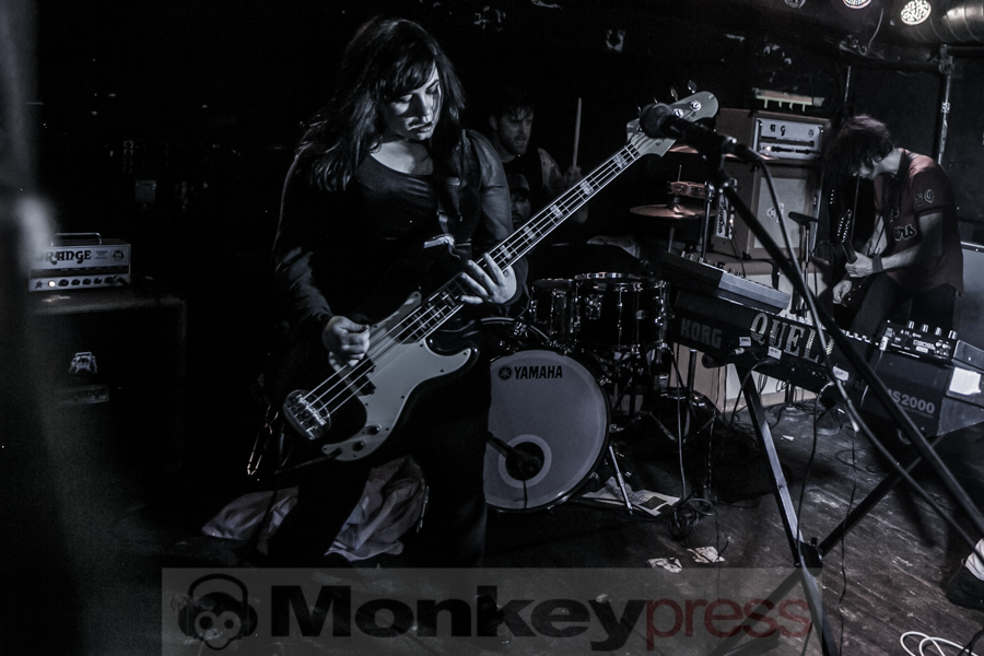 Turbowolf © André Techert