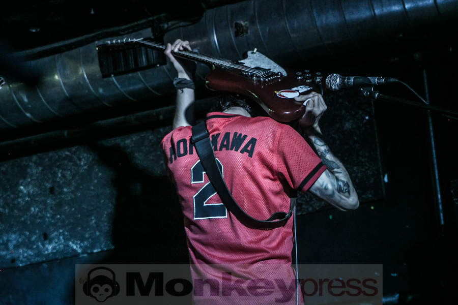 Turbowolf © André Techert
