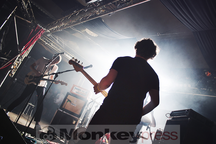 Die Nerven, © Claudia Helmert