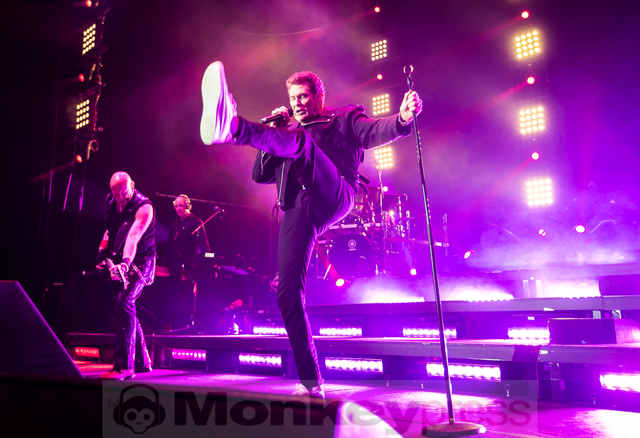 Fotos: DAVID HASSELHOFF
