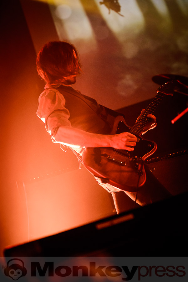 Last Leaf Down, © Daniel Beiderwieden