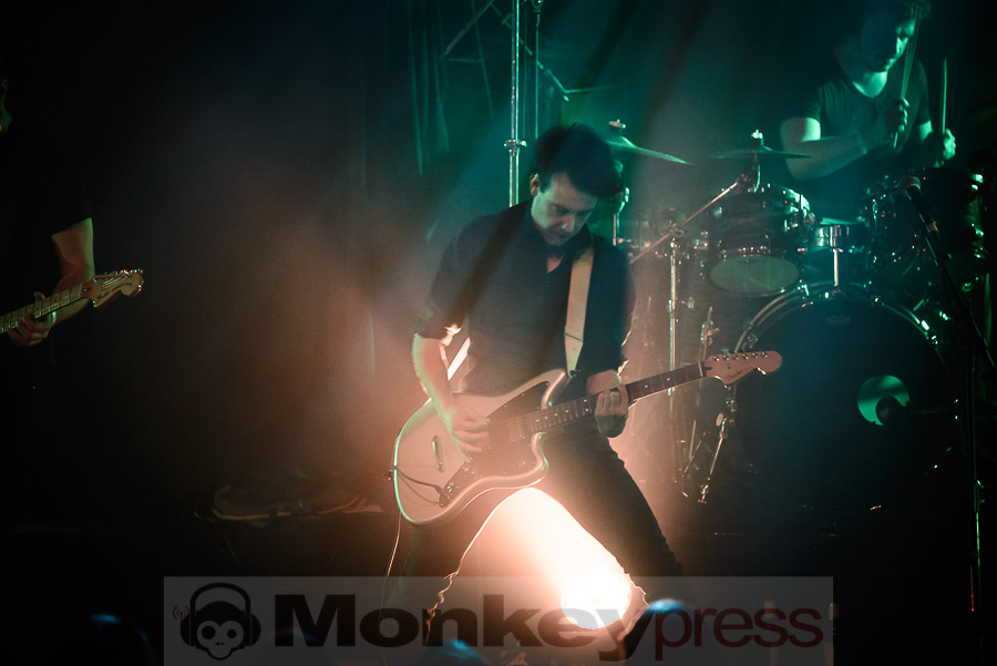 Fotos: LAST LEAF DOWN
