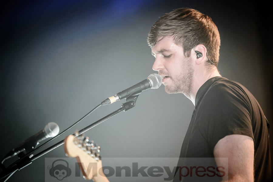 Last Leaf Down, © Daniel Beiderwieden