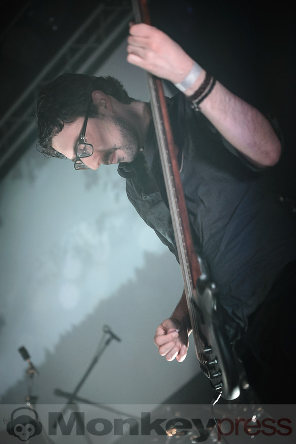 Last Leaf Down, © Daniel Beiderwieden