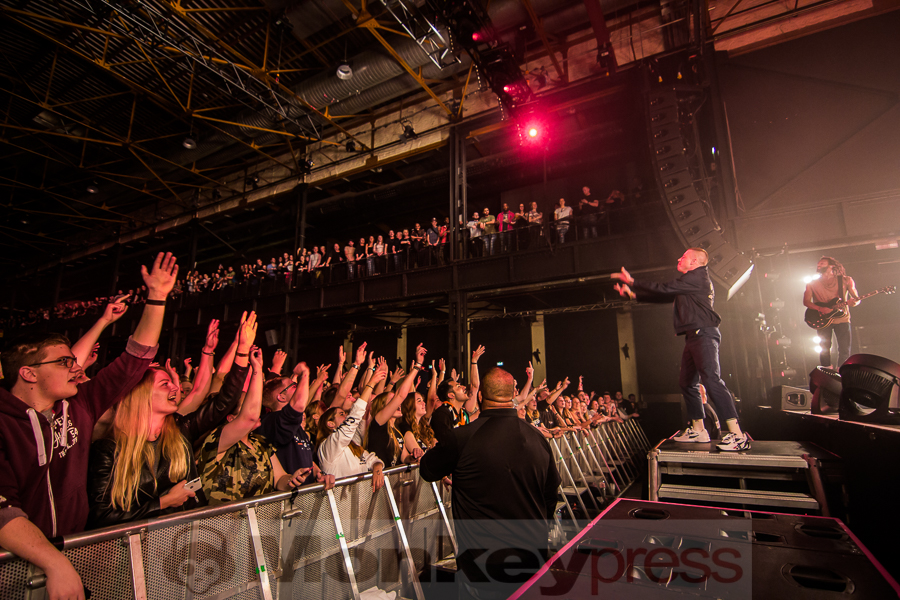 Macklemore, © Markus Hillgärtner