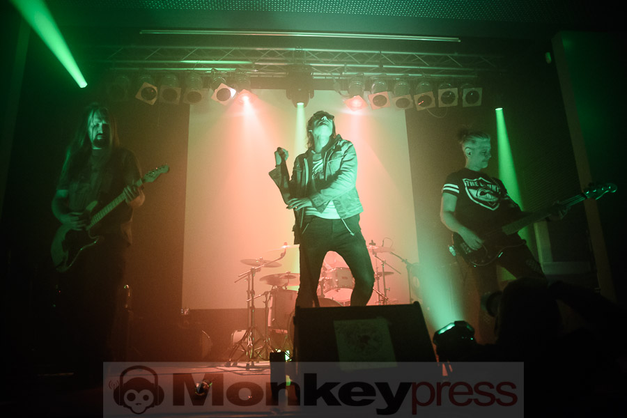 Melanculia, © Daniel Beiderwieden