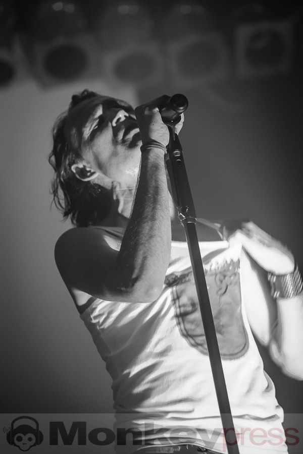 Melanculia, © Daniel Beiderwieden