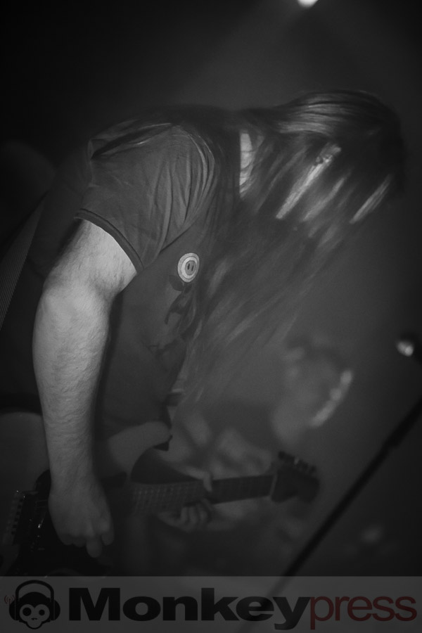 Melanculia, © Daniel Beiderwieden