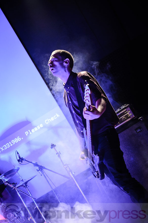 Cockatoo, © Daniel Beiderwieden