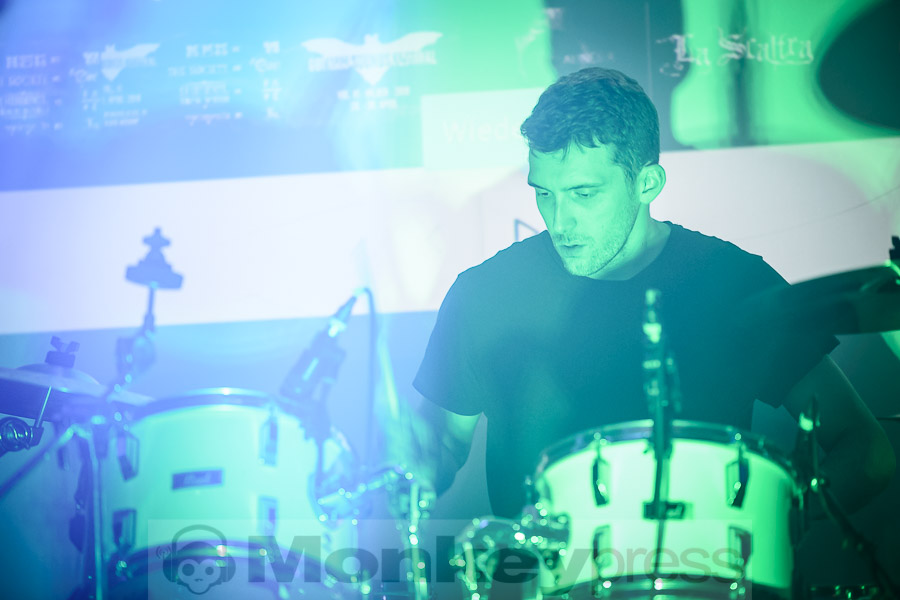 Cockatoo, © Daniel Beiderwieden