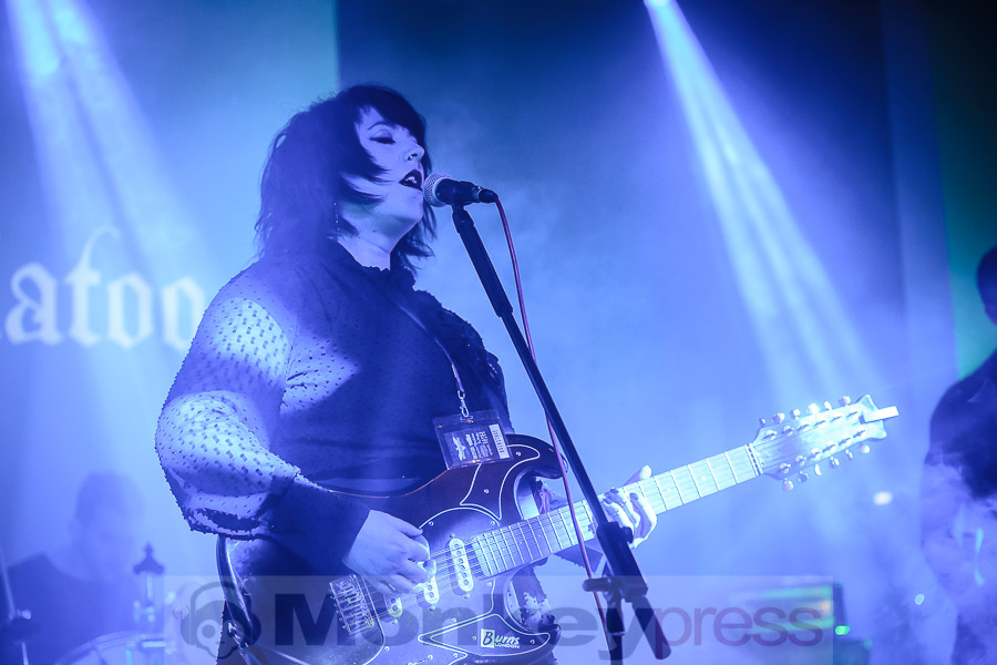 Cockatoo, © Daniel Beiderwieden