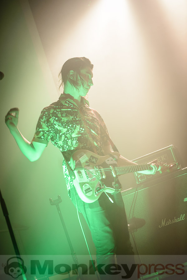 Cockatoo, © Daniel Beiderwieden