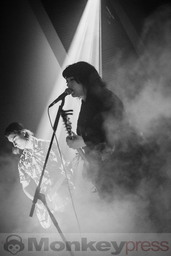 Cockatoo, © Daniel Beiderwieden