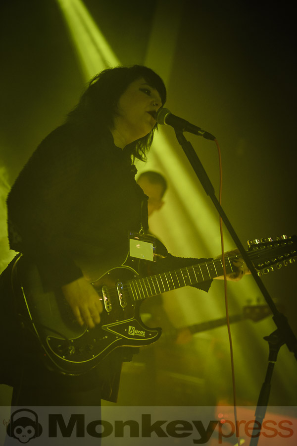 Cockatoo, © Daniel Beiderwieden