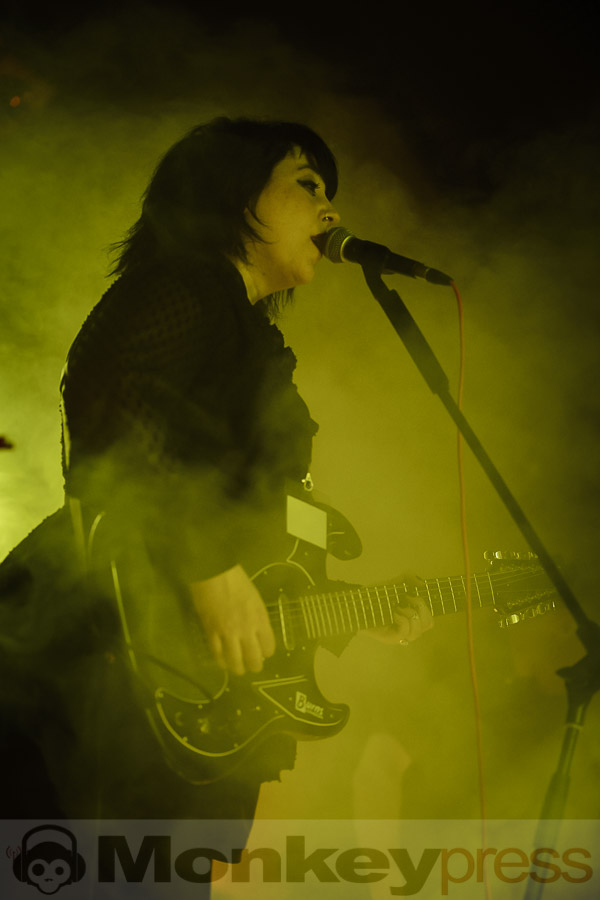 Cockatoo, © Daniel Beiderwieden