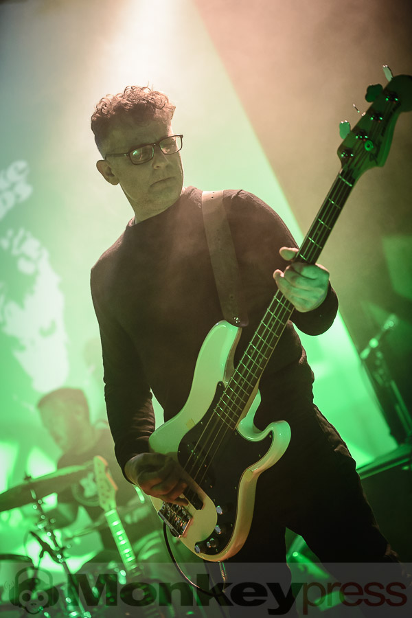 The Snake Corps, © Daniel Beiderwieden