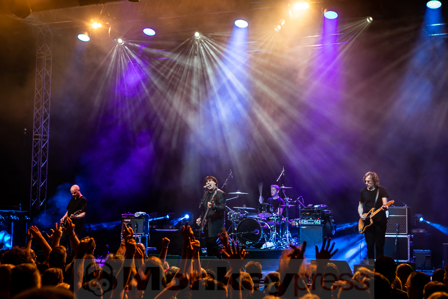 Chameleons Vox © Michael Gamon Chameleons Vox © Michael Gamon