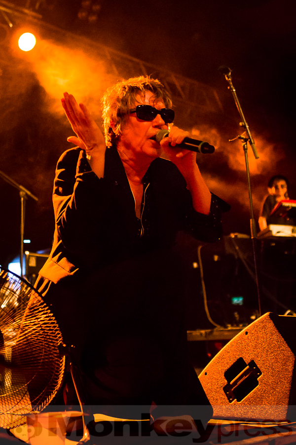 The Psychedelic Furs, © Michael Gamon