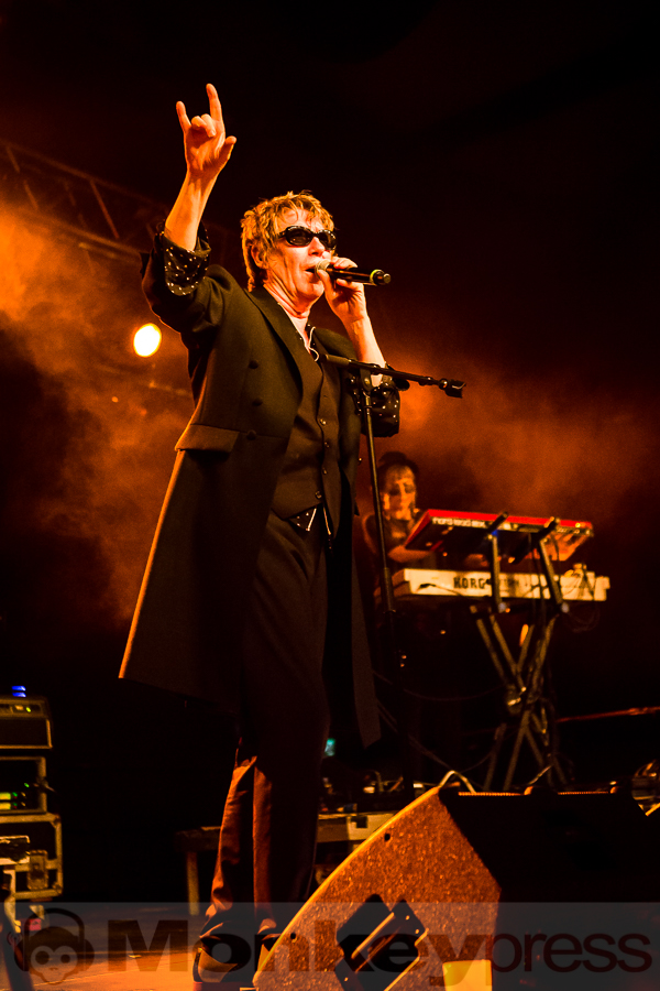 The Psychedelic Furs, © Michael Gamon
