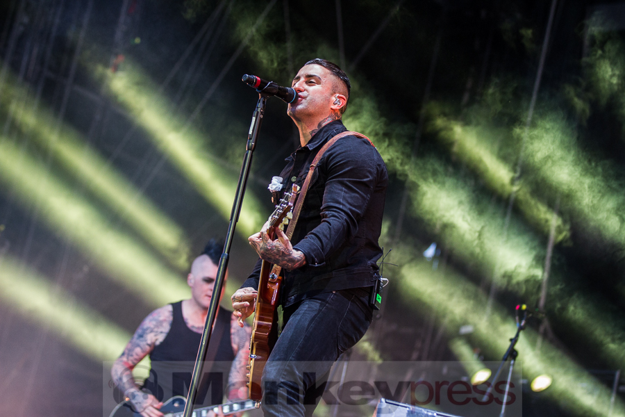 Broilers, © Markus Hillgärtner