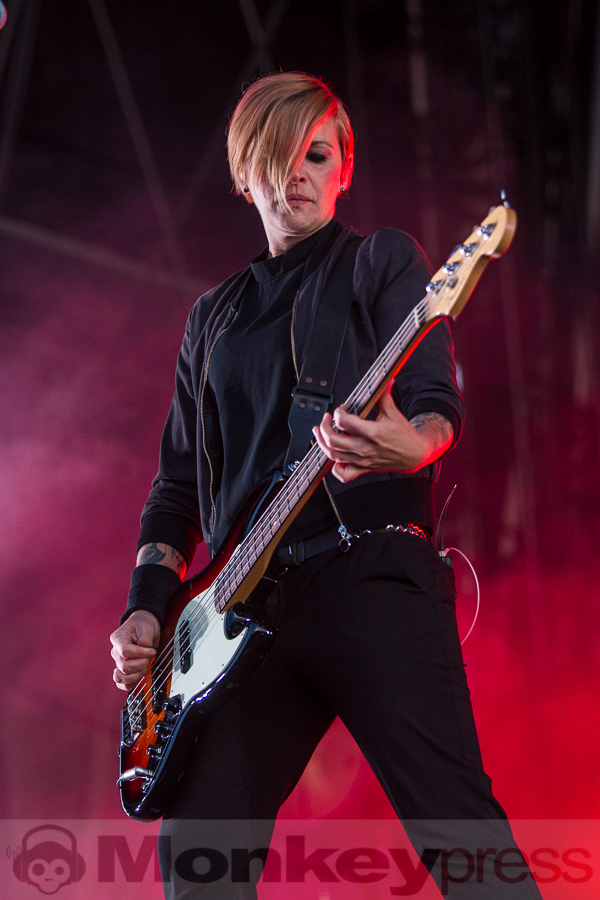 Broilers, © Markus Hillgärtner